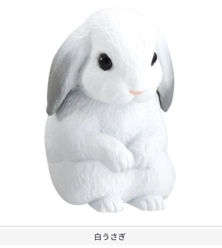 Amazon | ミニチュアフィギュア まちぼうけ9 ガチャガチャ 白うさぎ